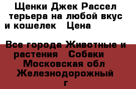 Щенки Джек Рассел терьера на любой вкус и кошелек › Цена ­ 13 000 - Все города Животные и растения » Собаки   . Московская обл.,Железнодорожный г.